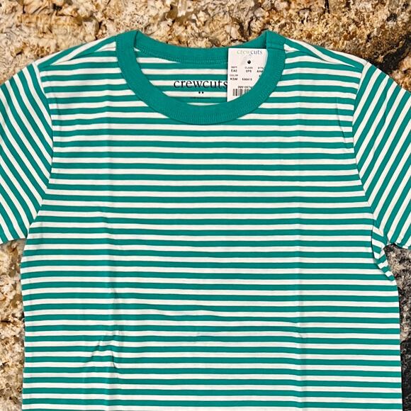 NWT J. Crew Boy's Mint Green and White Stripe T-Shirt - Picture 3 of 7